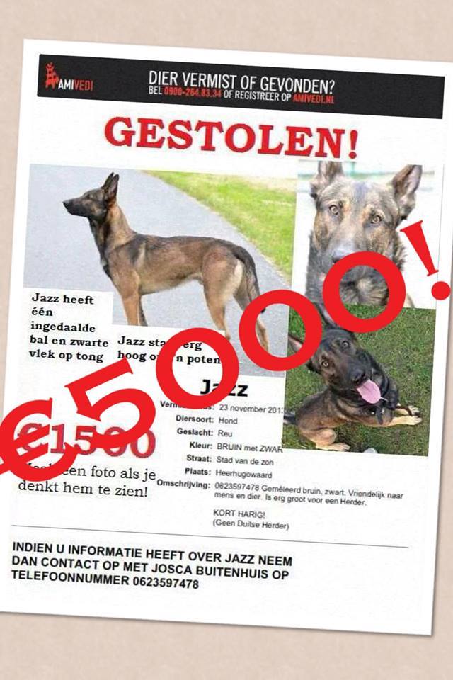 Wanhopige bazin van vermiste Jazz verhoogt vindersloon naar €5000,- (FOTO)