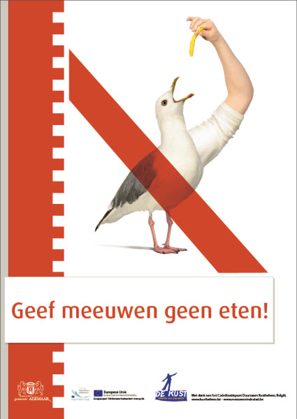 Gemeente wil 'harde maatregelen' inzetten tegen meeuwen